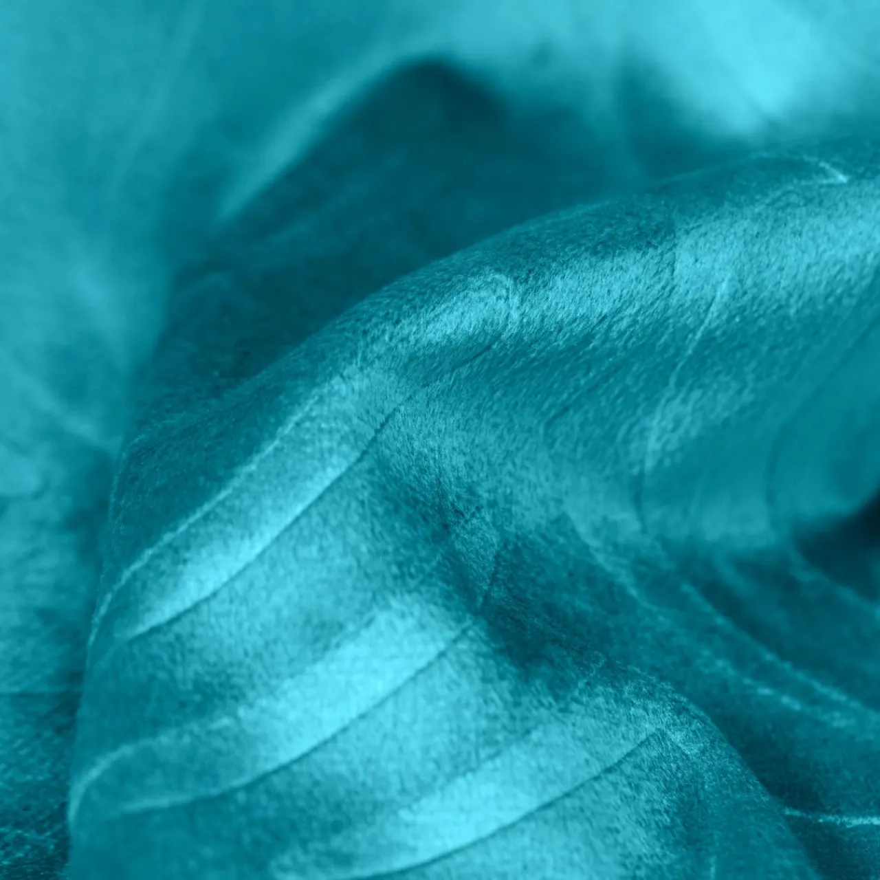 Coussin Et Housse|EMINZA Coussin carré velours (60 x 60 cm) Fern Bleu pétrole