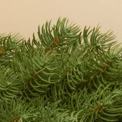 Sapin Grande Taille|Guirlande En Sapin Artificiel|EMINZA Guirlande de sapin (300 cm - D25) Utah Luxe Vert sapin Sapin vert