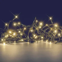 Guirlande Lumineuse|BLACHERE Guirlande lumineuse 8 m 128 LED câble vert Flashing light Blanc chaud Blanc Chaud - câble vert