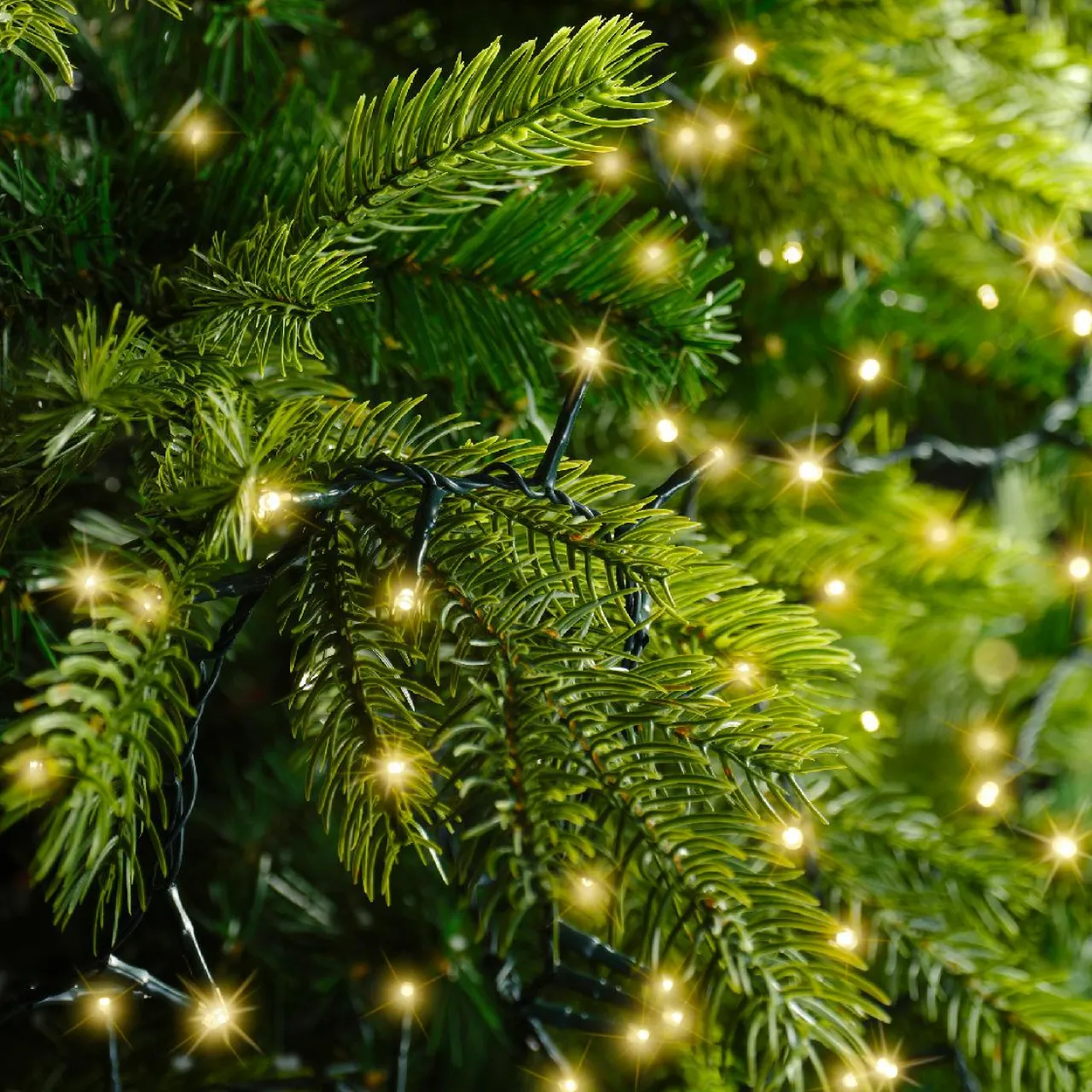 Guirlande Lumineuse Grand Format|Guirlande Lumineuse|KAEMINGK Guirlande lumineuse 45 m 2000 LED câble vert Luxe Blanc chaud Champagne Blanc chaud Champagne - câble vert