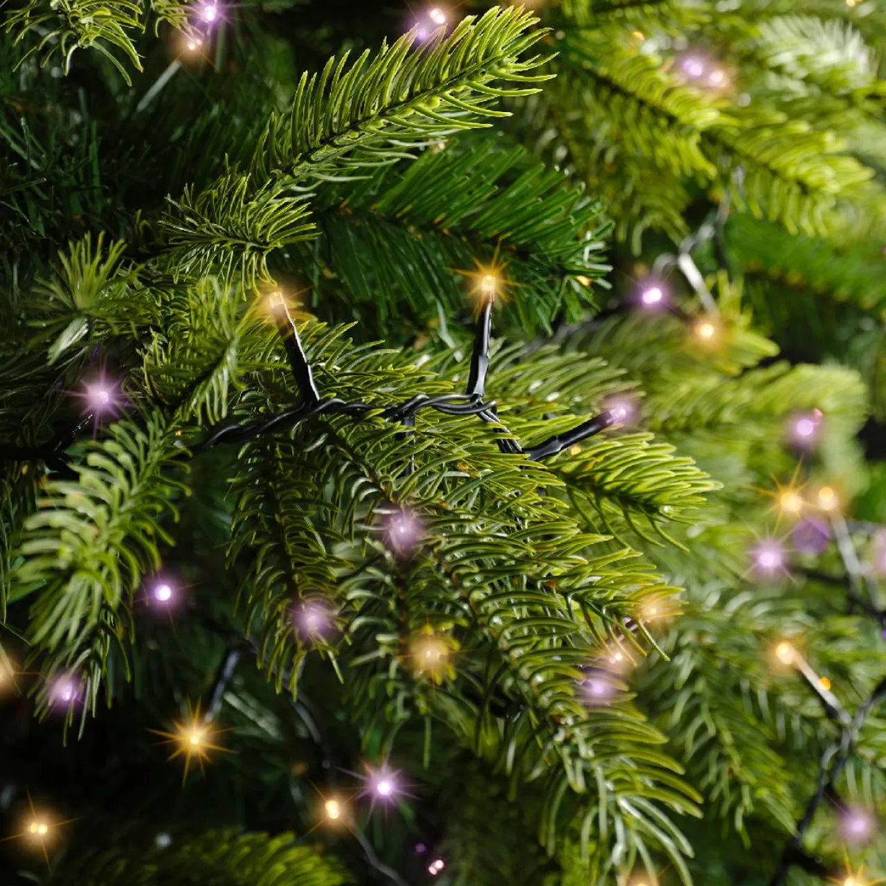 Guirlande Lumineuse|KAEMINGK Guirlande lumineuse 11 m 500 LED câble noir Luxe Bicolore Orange et violet Bicolore Orange / Violet - câble noir