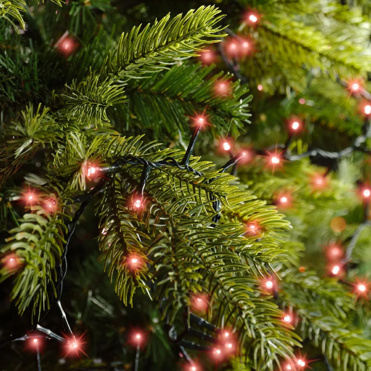 Guirlande Lumineuse Grand Format|Guirlande Lumineuse|KAEMINGK Guirlande lumineuse 22,5 m 1000 LED câble vert Luxe Rouge Rouge - câble vert