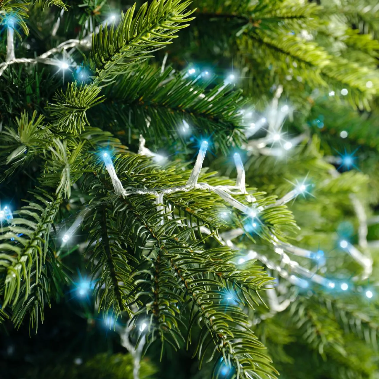 Guirlande Lumineuse|KAEMINGK Guirlande lumineuse 11 m 500 LED câble transparent Luxe Bicolore Blanc et bleu Bicolore Bleu / Blanc froid - câble transparent