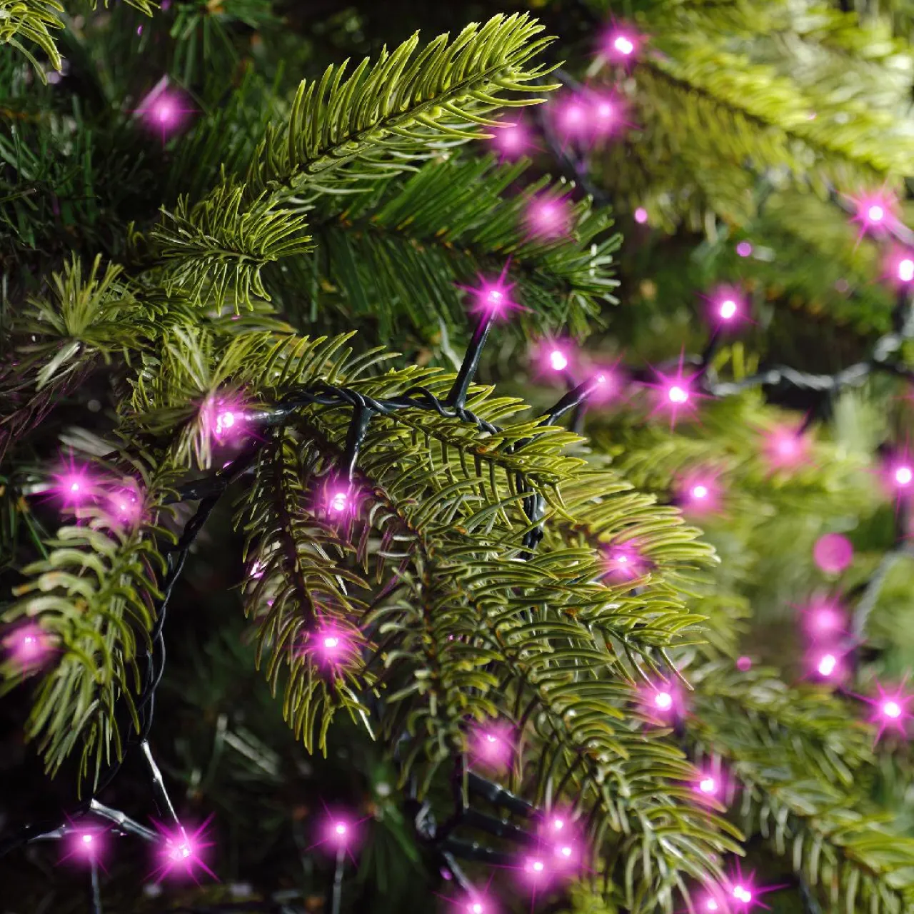 Guirlande Lumineuse Grand Format|Guirlande Lumineuse|KAEMINGK Guirlande lumineuse 22,5 m 1000 LED câble vert Luxe Rose Rose - câble vert