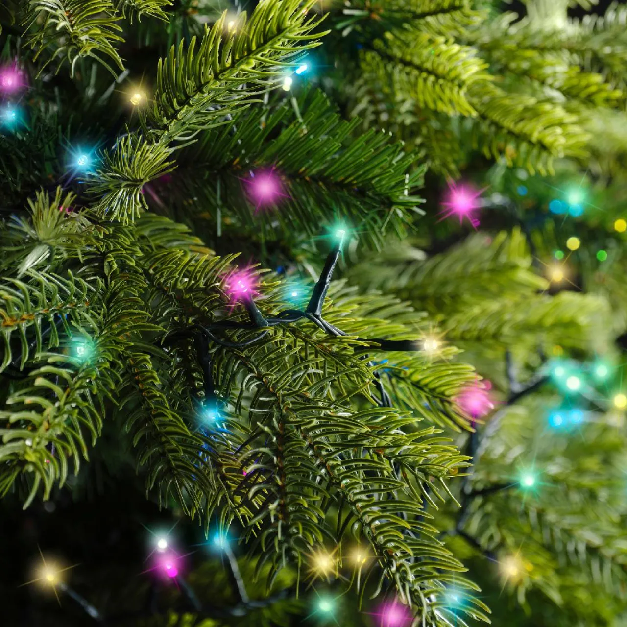 Guirlande Lumineuse Grand Format|Guirlande Lumineuse|KAEMINGK Guirlande lumineuse 34 m 1500 LED câble vert Luxe Multicolore pastel Multicolore Pastel Câble Vert