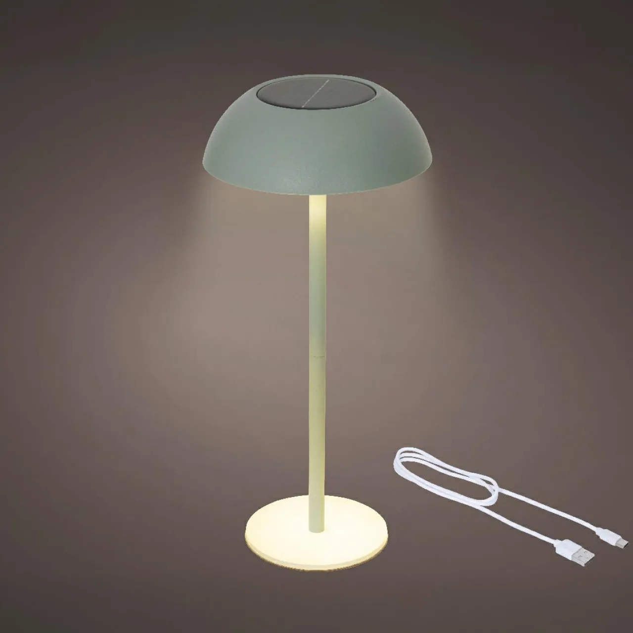 Luminaire Jardin|Eclairage Extérieur|KAEMINGK Lampe de table solaire 100 lumens (H33 cm) Malibu Vert menthe