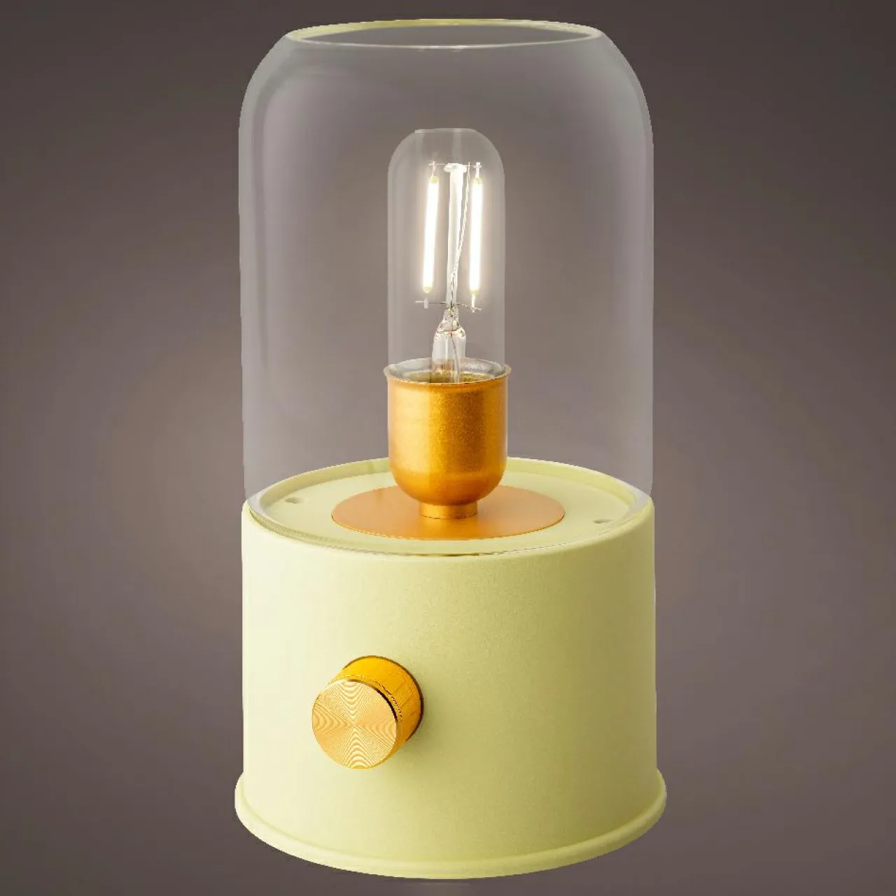 Luminaire Jardin|Eclairage Extérieur|#N/A Lampe tempête sans fil rechargeable USB (H20 cm) Vert