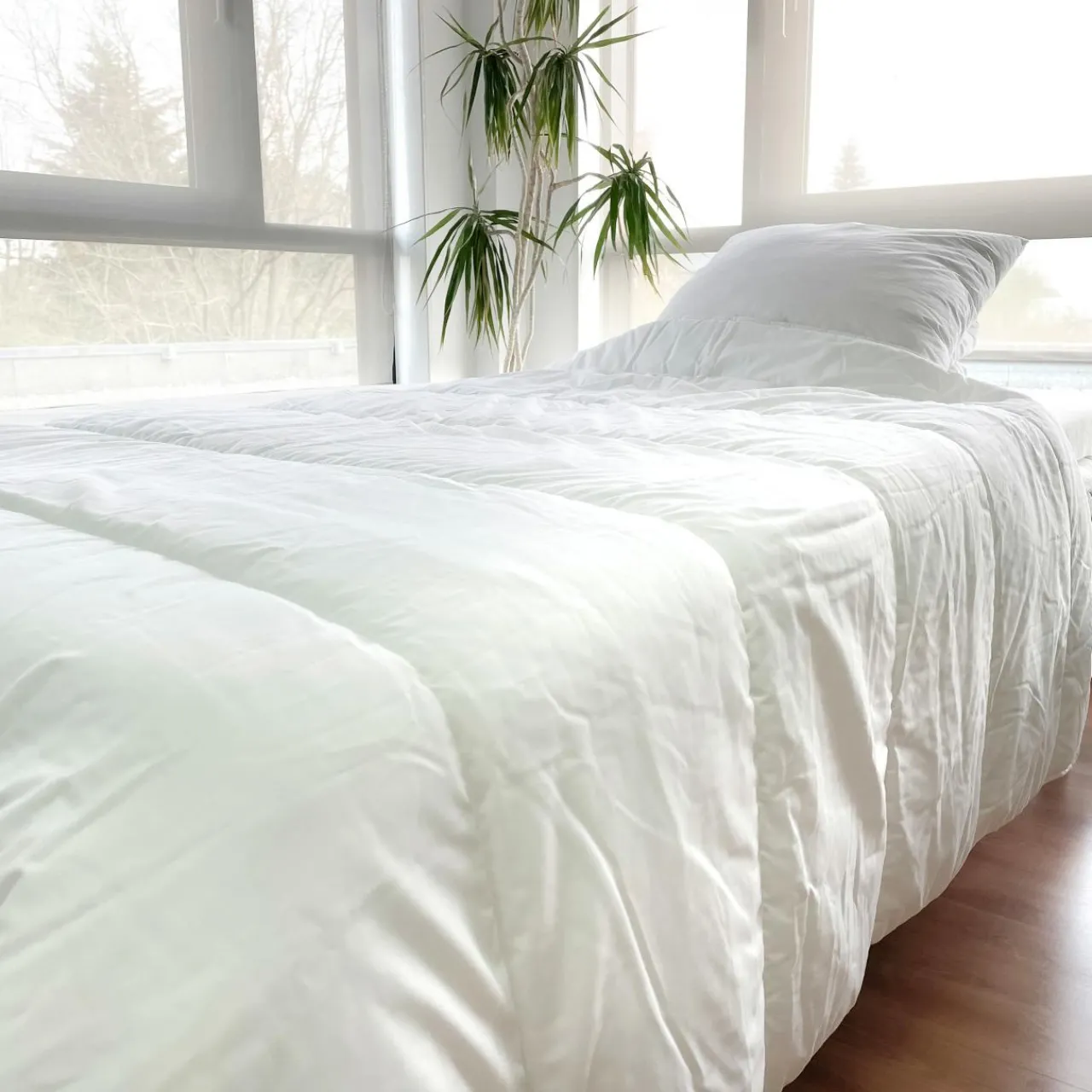 Couette, Oreiller, Traversin|EMINZA Lot Couette chaude anti-acariens (140 x 200 cm) + 1 Oreiller (60 x 60 cm) Comète he Blanc