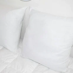 Couette, Oreiller, Traversin|EMINZA Lot de 2 oreillers carrés moelleux (60 x 60 cm) Volume Blanc