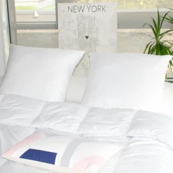 Couette, Oreiller, Traversin|EMINZA Lot de 2 oreillers carrés moelleux (60 x 60 cm) Respirants Blanc