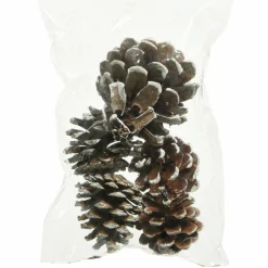 Déco De Table|KAEMINGK Lot de 5 pommes de pin Pinus nigra enneigées Naturel Marron