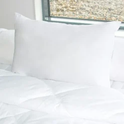 Couette, Oreiller, Traversin|BLEU CALIN Oreiller rectangulaire ferme (50 x 70 cm) Alaska Blanc