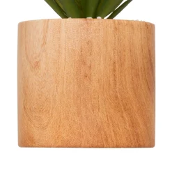 Plante Artificielle|Atmosphera, cru017dateur d'intu017drieur Plante artificielle avec pot (H17 cm) Sao plante grasse Vert