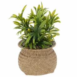 Plante Artificielle|ATMOSPHERA Plante artificielle en pot (H20 cm) Jil e Vert