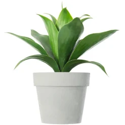 Plante Artificielle|ATMOSPHERA Plante artificielle (H34 cm) Aloe vera Vert
