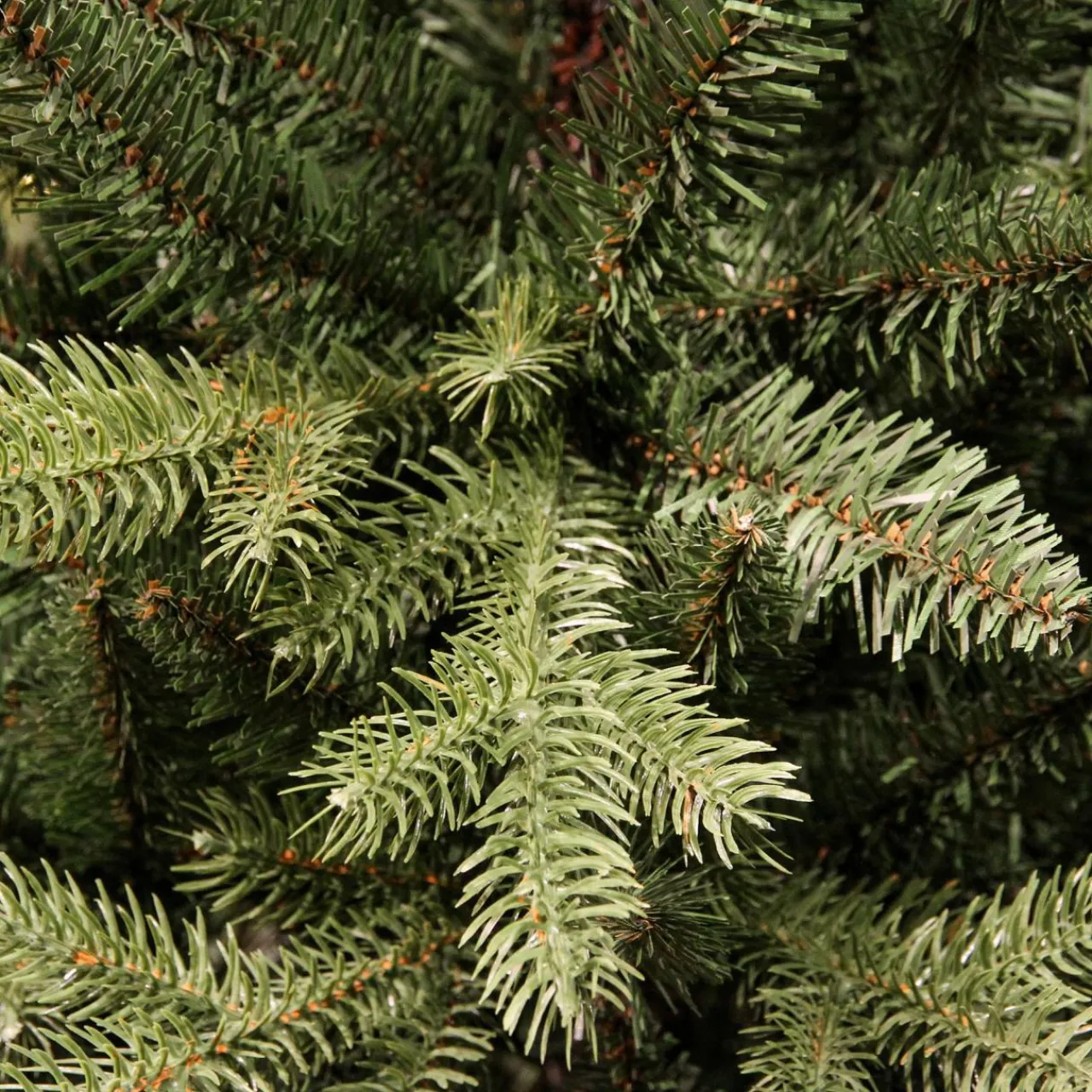 Sapin Grande Taille|Sapin Artificiel De Noël|EMINZA Sapin artificiel de Noël (H240 cm) Allix Vert sapin Sapin vert