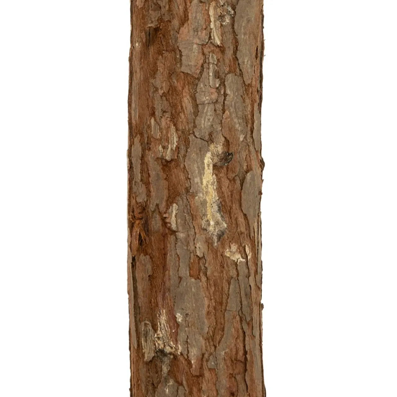 Sapin Artificiel De Noël|FEERIC LIGHTS Sapin artificiel de Noël (H150 cm) Nordstar Vert enneigé Sapin enneigé