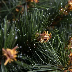 Sapin Grande Taille|Sapin Artificiel De Noël|EMINZA Sapin de Noël artificiel (H300 cm) Stockholm Vert finition perlée Vert givré