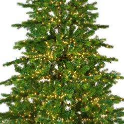 Sapin Grande Taille|Sapin Artificiel De Noël|EMINZA Sapin de Noël artificiel lumineux 4000 LED (H210 cm) Caucasia Nordmann Vert sapin Sapin vert lumineux