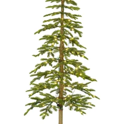 Sapin Grande Taille|Sapin Artificiel De Noël|EMINZA Sapin de Noël artificiel lumineux 200 LED (H210 cm) Sierra Vert sapin Sapin vert lumineux