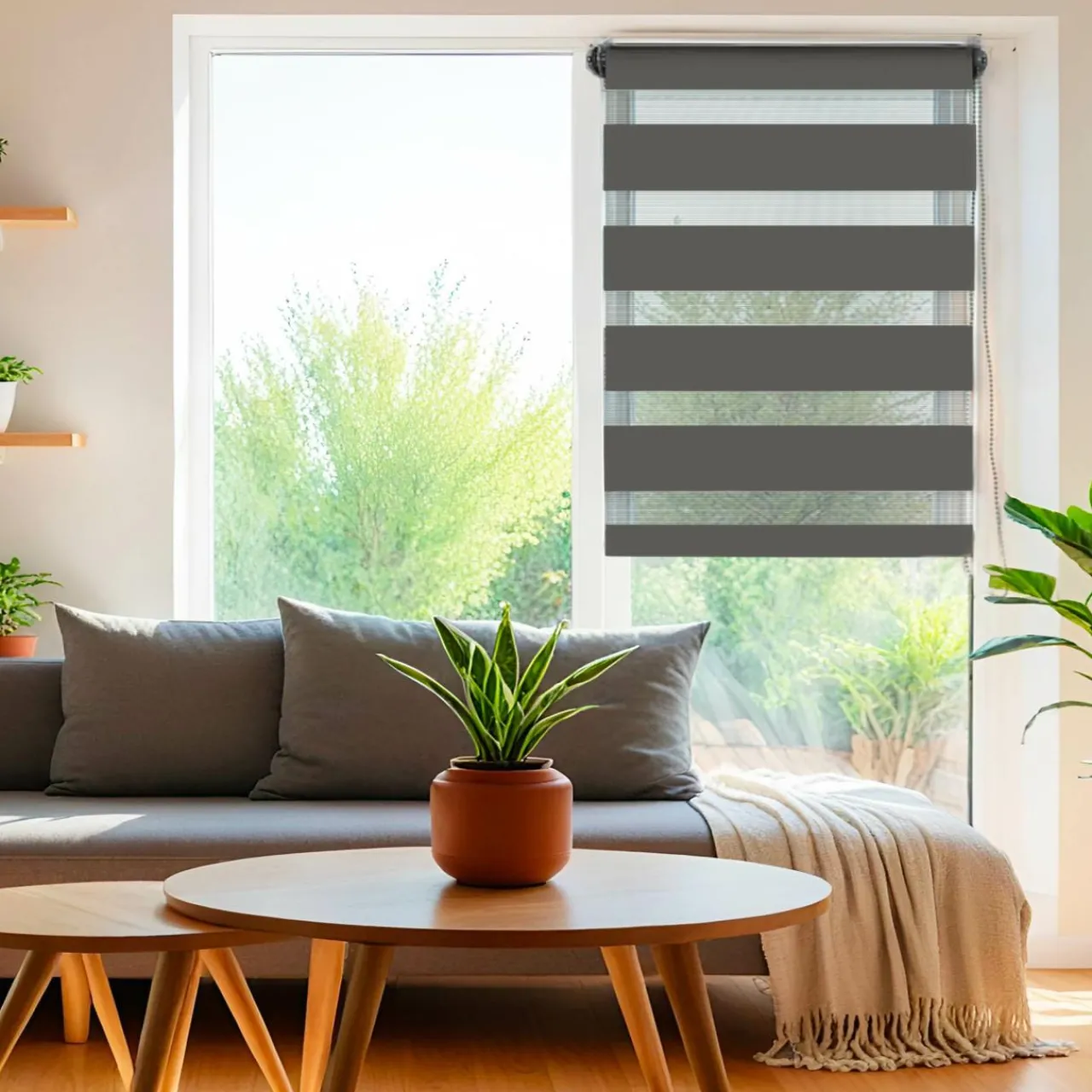 Store|LUANCE Store enrouleur Jour / Nuit (75 x 250 cm) Gris Anthracite