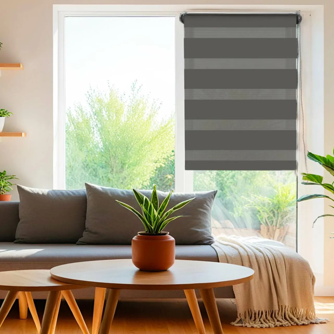 Store|LUANCE Store enrouleur Jour / Nuit (75 x 250 cm) Gris Anthracite